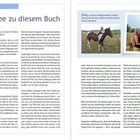 Vorwort: Die Idee zu diesem Buch. Ein Text über die Entstehung eines Buches über Pferdemenschen. Enthält persönliche Erlebnisse.