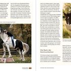 "Ein Pferd orientiert sich nicht an uns, weil wir besonders laut, streng oder hart sind." 

Zwei Fotos: Mensch auf Pferd und Frau mit Pferd. Texte über Kommunikation mit Pferden.