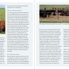"Warum Westernreiten?", "Die Arbeitsreitweise", "Westernreiten als Breitensport". Links Reiter mit Kühen, rechts Rinder im Gatter.