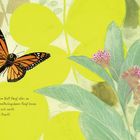 Text: "Auf diesem Blatt fängt alles an. Eine Schmetterlingsdame fliegt heran. Sie setzt sich sacht, zeigt ihre Pracht." Illustration: Ein bunter Schmetterling und grüne Blätter mit Blüten.