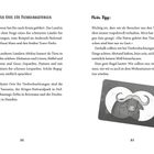 Die schönsten Orte für Tierbeobachtungen. Kenia ist gut für Tiere wie Elefanten, Löwen. Tipp: Respektvoll beobachten. Illustration: Büffel im Sucher.