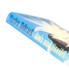 Text: "Stolz und Zweifel". Blaues Cover mit Wolken und hellem Lichtstrahl.