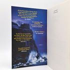 Textausschnitte beschreiben den Thriller "Die blaue Stunde" von Paula Hawkins vor einem stürmischen Küstenbild.