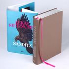 Buchcover: "LUKAS RIETZSCHEL SANDITZ ROMAN". Ein braunes Buch mit rosa Leseband und blauer Schutzumschlag mit Adler.