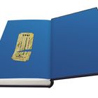 "Bücher können Leben verändern..." steht links. Rechts ist ein goldenes, geprägtes Ticket mit der Aufschrift "DER MITTERNACHTSZUG".