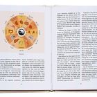 Organuhren-Illustration mit Zeiten und Organen: Magen, Milz, Herz, Dünndarm, Blase, Nieren u.a. Texte auf zwei Buchseiten.