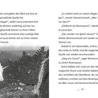 Texte: „Es klappt“, stellte Laura erleichtert fest. Illustration: Ein Mädchen und Einhorn betrachten eine glitzernde Quelle.