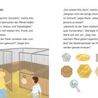 Text: „Mona spricht rückwärts“, „S. 20“. Illustration von drei Personen im Stall, Namensschilder vor der Box.