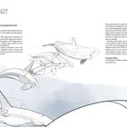 Text: "HERINGE ZUM BEISPIEL NORWEGISCHE TYP-1-ORCAS". 

Illustration: Orcas jagen einen Schwarm Fische im blauen Wasser.