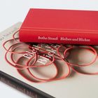 Zwei Bücher: Titel "Bleiben und Blicken" von Botho Strauß. Ein Buch ist rot, das andere hat rote Muster auf dem Cover.