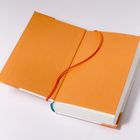 Ein aufgeschlagenes Buch mit orangefarbenen Innenseiten, ohne Text. Ein rotes Lesezeichen hängt heraus.