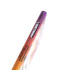 Der Text „MINECRAFT“ und „Gleb Zine, Matt Hall, Alan Batson & Greg Hall“ erscheint auf der Seite eines bunt farbigen Buches.