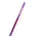 DIE ZIRKUSPRINZESSIN, NUR MUT, AMIA auf lila Buchrücken in weißen und roten Buchstaben.