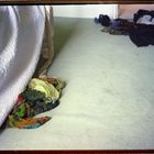 Kleidung auf hellbeigem Teppich. Links ein Bett mit weißer gemusterter Tagesdecke, rechts unordentliche Kleidung am Boden.