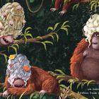 Eine Illustration von Orang-Utans mit kunstvollen Perücken. Zwei Texte: "Dann schleiche ich mich an..." und "Kannst du auch schleichen...".