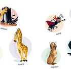 „Erkennst du, wie sich die Tiere fühlen?“ Der Text beschreibt Emotionen. Illustrationen zeigen Tiere mit Gefühlen.