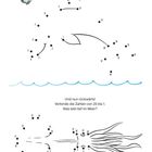 Verbinde Zahlen von 1 bis 20, Tier klar? Rückwärts von 20 bis 1 für Meerestier. Oben Vogel, unten Tintenfisch. Zahl 4.