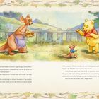 Text: "Ja, die Sonne blieb hinter den Wolken versteckt," sagte Kanga. Charaktere: Ein Känguru mit Keksen, ein kleines Känguru, ein Bär in rotem Hemd auf einer grünen Wiese.