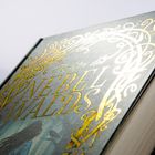 „Töchter des NEBELWALDS“ in goldener Schrift. Verschnörkeltes Design, darunter eine Schattenfigur in Blau und Schwarz.