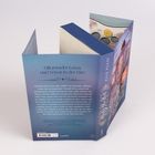 „Glitzernder Luxus und Verrat in der Elite.“ Es ist ein Buchcover mit einem blauen Design und einer Illustration.