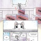 Kapitel 1 - Chi macht Bekanntschaften. Illustrationen zeigen eine Katze mit großen Augen zwischen Umzugskartons.