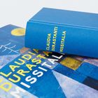 Der Text "Claudia Durastanti Missitalia" auf einem blauen Buchcover, darunter abstrakte Kunst in Blau- und Gelbtönen.
