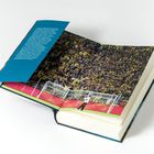 Text über Fußballfinanzierung auf blauem Hintergrund. Szene von jubelnden Fans und einem Torwart vor einem Fußballtor im Buch.