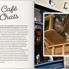 "Le Café des Chats" - Ein Artikel über ein Katzencafé in Paris. Bild von zwei Katzen in einem gemütlichen Cafészenario.