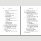 Zweiseitiger Text in italienischer Sprache. Enthält nummerierte Auflistungen, Kapitelüberschriften und thematische Gliederungen.