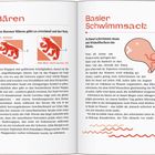 Seite 16: „Bären: Den Berner Bären gibt es zweimal auf der Welt.“ Seite 17: „Basler Schwimmsack: In Basel schwimmt man mit Wickelfischen im Rhein.“