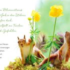 Texte: "Wie ein Blumenstrauß seien die Jahre des Lebens für dich. Eine Vielfalt an Farben und Gefühlen." Zwei Eichhörnchen.