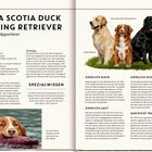 Text: Nova Scotia Duck Tolling Retriever, Gelehriger Apportierer. Beschreibung, Eigenschaften und Geschichte der Rasse.

Links ein Hund, der ein Spielzeug im Wasser apportiert. Rechts eine Illustration mit drei verschiedenen Retrievern.