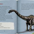"Diplodocus, Länge: 27m, Höhe: 5m, Gewicht: 16t, Zeit: 156-145 Mio. Jahre. Illustration eines großen Dinosauriers."