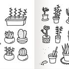 Eine Illustration mit 14 einfachen Kaktus- und Pflanzenzeichnungen in unterschiedlichen Töpfen und Formen.