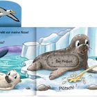 „He! Doch nicht direkt vor meine Nase! Wer war das?“ Ein Pinguin läuft, ein Seehund schaut erschrocken, Eisberge.