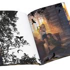 Kapitel 21 STORM. Schwarze Baumzweige und Vögel, Illustration von zwei Personen vor einem großen Bücherregal bei Sonnenuntergang.