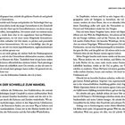 Einleitung über Technologie-Start-up-Gründung. Erzählmuster aus "Die Heldenreise" und persönlicher Wandel beschrieben.