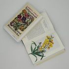 Buch mit Titel "Tulpenwut und Rosenliebe" von Gabriele Tergit, daneben geöffnete Seite mit gelber Blumenillustration.