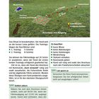 Seite 74 zeigt eine Wiese mit Windrichtung und Spuren. Text beschreibt Hundetraining. Tipps unten, z.B. "Seitlich nähern".