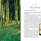 "My humble self" in geschwungener Schrift. Ein Text beschreibt eine Geschichte im Sommer 1904. Rechts unten ein altes Foto. Links ein Wald.