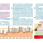 Seite mit Textinfos zu Hattingen, historischen Orten, Kontakten. Diagramm zeigt Höhenprofil einer Route. Logo von "Toscana".