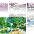 Tipp: Wenn Sie per Flugzeug anreisen oder aber mit dem Auto... Am Canal du Midi in Toulouse. 
Ein grüner Kanalweg mit Bäumen.