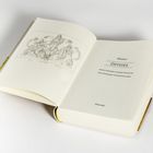 Offenes Buch, Titel: "Odyssee" von Homer. Illustration links mit griechischen Figuren und den Namen "IASIS", "ODYSSEUS", "CASSURA".