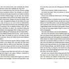Doppelbuchseite aus einem Roman mit fortlaufendem Text über eine belebte Szene auf einem Marktplatz und Interaktionen mit Soldaten und einer Frau.