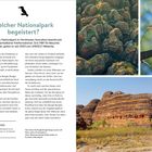 Welcher Nationalpark begeistert? Der Purnululu-Nationalpark in Nordwesten Australiens beeindruckt mit unvergesselbaren Felsformationen.