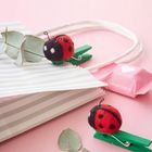 Text: "Erdbeer Joghurt" auf einer rosa Verpackung. Eine gestreifte Tüte, Filz-Marienkäfer und Eukalyptusblätter auf rosa Hintergrund.