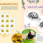Links „WABENRÄTSEL“ mit Wörtern in Waben. Rechts „WAS IST ANDERS?“ mit zwei Marienkäfern. Unten ein buntes Schmetterlingsfoto.
