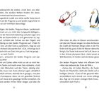 Seitenzahl: 17, 18. Illustration: Weiße Taube mit Tasche spricht mit zwei Pinguinen auf Schnee. 