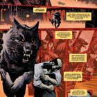 Texttafeln beschreiben Kampf und Erinnerung. Illustration zeigt einen düsteren Wolf, eine Stadt und eine Umarmung.