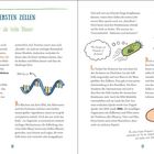 Titel: "Die ersten Zellen - Mehr als hohle Blasen". Text über Evolution, RNA, Proteine, Einzeller, Zellkern und DNA. Illustrationen von Zellen und DNA-Spiralen mit erklärenden Pfeilen.
